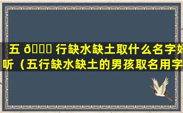 五 🐒 行缺水缺土取什么名字好听（五行缺水缺土的男孩取名用字 🐧 有哪些）